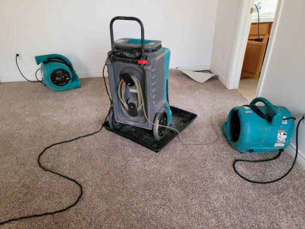Best Water damage restoration near me  in Lakewood, CA