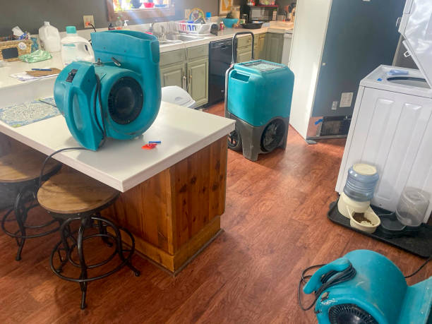 Best Water damage restoration process  in Lakewood, CA