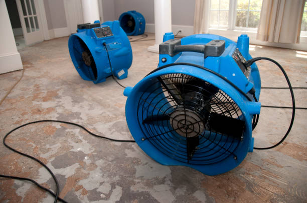 Best Emergency water damage restoration  in Lakewood, CA