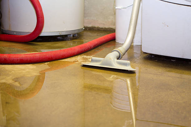 Best 24-hour water damage restoration  in Lakewood, CA