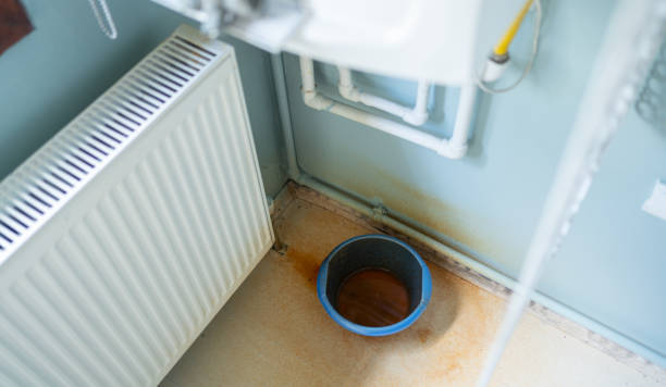 Best Mold removal after water damage  in Lakewood, CA