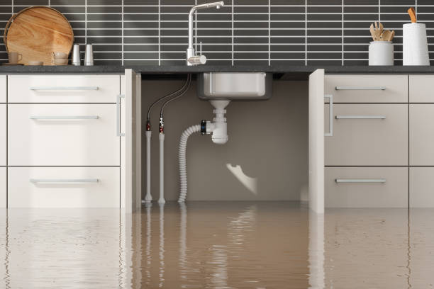 Best Water damage contractors near me  in Lakewood, CA