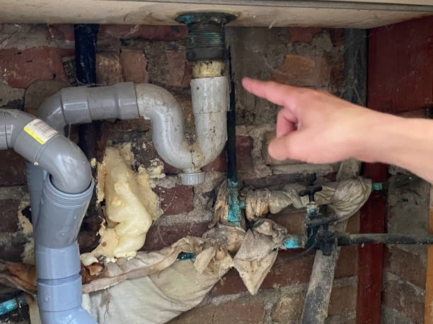Best Water damage contractors near me  in Lakewood, CA