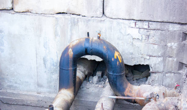 Best Flooded house restoration  in Lakewood, CA